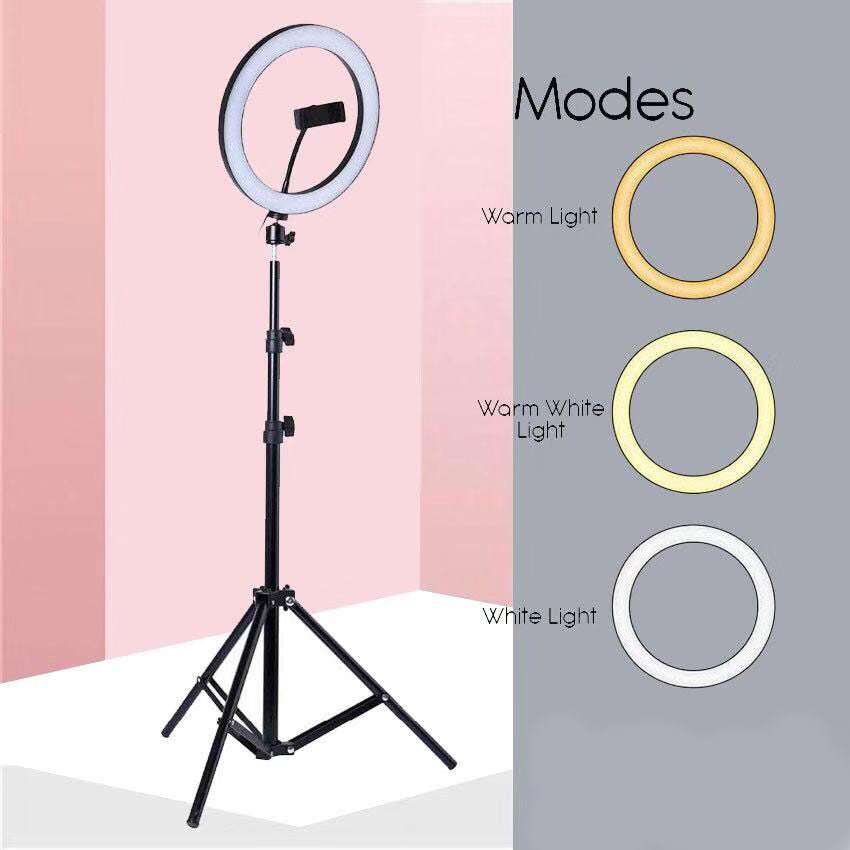 Selfie Ring Light with Tripod with 8 Feet Tripod/ Tiktok Light With 8 Feet Tripod / 26cm LED Light Ring with Tripod - Fortune Store